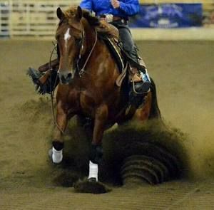 Meet your Posher, Rose anne